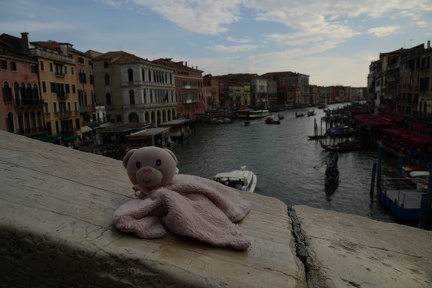 Bear - Rialto Bridge - Venice  Italy